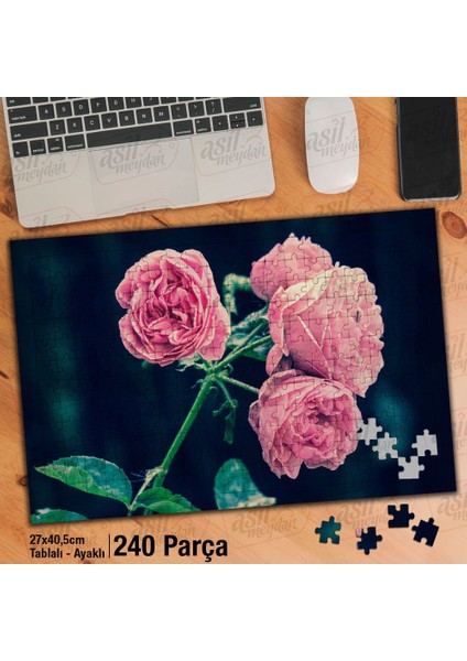 Asil Hobi Pembe Güller - Çiçek - Bitki - Peyzaj Yapboz - Ayak Destekli Çerçeveli 240 Parça Puzzle