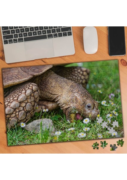 Papatyalar ve Yaşlı Kaplumbağa 240 Parça Puzzle YAPBOZ-75158
