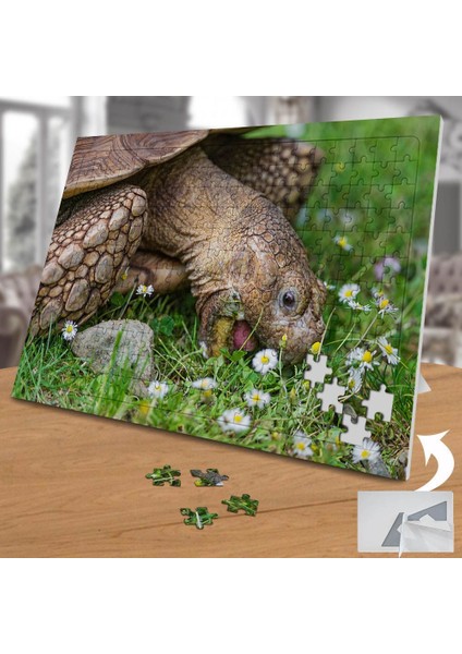 Papatyalar ve Yaşlı Kaplumbağa 240 Parça Puzzle YAPBOZ-75158