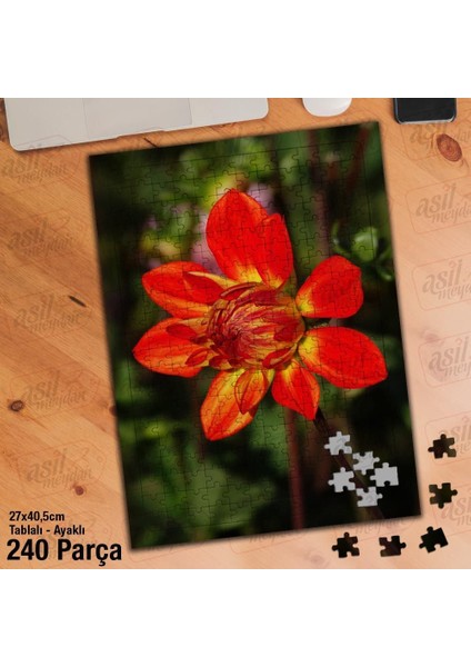 Asil Hobi Turuncu - Sarı Çiçek - Bitki - Peyzaj Yapboz -Ayak Destekli Çerçeveli 240 Parça Puzzle