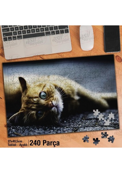 Asil Hobi Yerde Yatan Sarı Tüylü Kedi - Hayvan Yapboz -Ayak Destekli Çerçeveli 240 Parça Puzzle