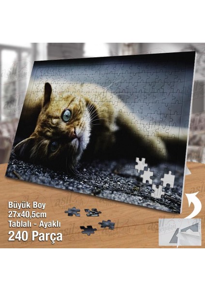 Asil Hobi Yerde Yatan Sarı Tüylü Kedi - Hayvan Yapboz -Ayak Destekli Çerçeveli 240 Parça Puzzle fiyatları
