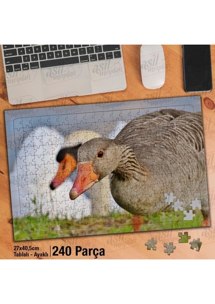 Asil Hobi Kaz - Kuşu - Doğa - Kümes Hayvanları Yapboz -Ayak Destekli Çerçeveli 240 Parça Puzzle