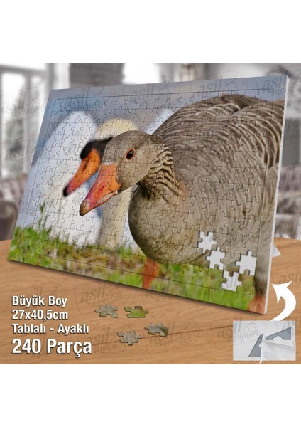 Asil Hobi Kaz - Kuşu - Doğa - Kümes Hayvanları Yapboz -Ayak Destekli Çerçeveli 240 Parça Puzzle fiyatları