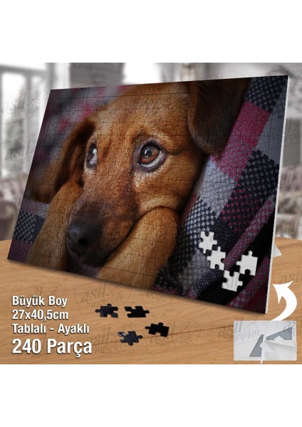 Asil Hobi Masum - Sevimli Hayvan - Köpek - Doğa Yapboz -Ayak Destekli Çerçeveli 240 Parça Puzzle fiyatları