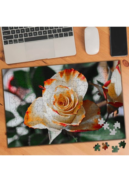 Turuncu Beyaz Gül 240 Parça Puzzle Yapboz -74483