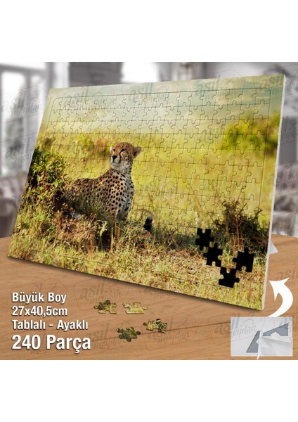 Asil Hobi Kaplan - Doğa - Vahşi Hayvan Yapboz- Ayak Destekli Çerçeveli 240 Parça Puzzle