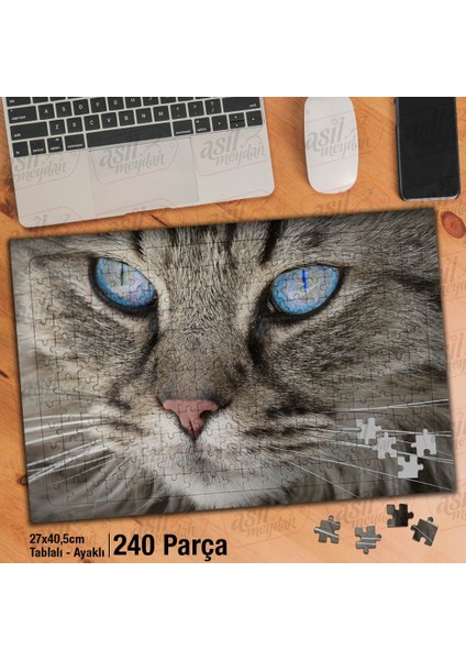 Asil Hobi Keskin Bakışlı Mavi Gözlü Kedi -Hayvan Yapboz -Ayak Destekli Çerçeveli 240 Parça Puzzle