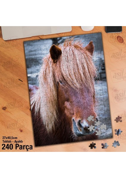Asil Hobi Kısrak - At - Sevimli Hayvan - Doğa Yapboz -Ayak Destekli Çerçeveli 240 Parça Puzzle