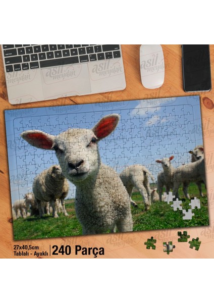 Asil Hobi Sevimli Kuzucuk - Doğa- Hayvanlar Yapboz-Ayak Destekli Çerçeveli 240 Parça Puzzle