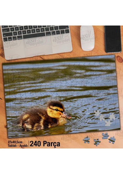 Asil Hobi Sevimli Küçük Ördek Yavrusu - Göl -Hayvan Yapboz -Ayak Destekli Çerçeveli 240 Parça Puzzle