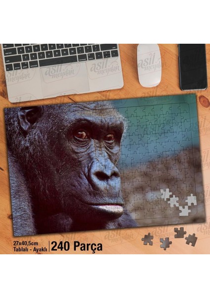 Asil Hobi Gorilla- Vahşi Hayvan - Doğa - Amazon Yapboz -Ayak Destekli Çerçeveli 240 Parça Puzzle