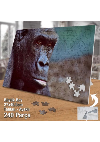 Asil Hobi Gorilla- Vahşi Hayvan - Doğa - Amazon Yapboz -Ayak Destekli Çerçeveli 240 Parça Puzzle
