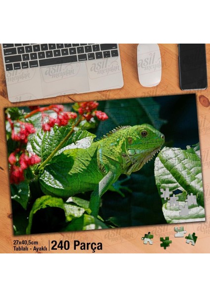 Asil Hobi Iguana - Yeşil - Bitki - Çiçek - Hayvan Yapboz -Ayak Destekli Çerçeveli 240 Parça Puzzle