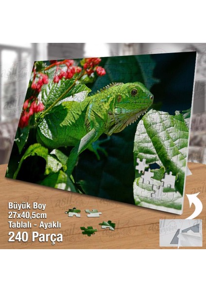 Asil Hobi Iguana - Yeşil - Bitki - Çiçek - Hayvan Yapboz -Ayak Destekli Çerçeveli 240 Parça Puzzle