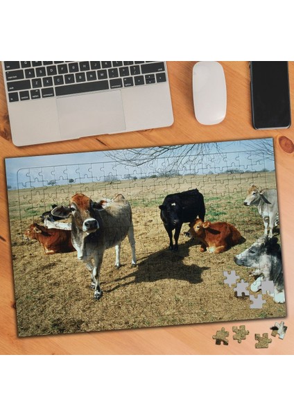 Otlayan Inekler 240 Parça Puzzle YAPBOZ-74567