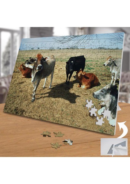 Otlayan Inekler 240 Parça Puzzle YAPBOZ-74567