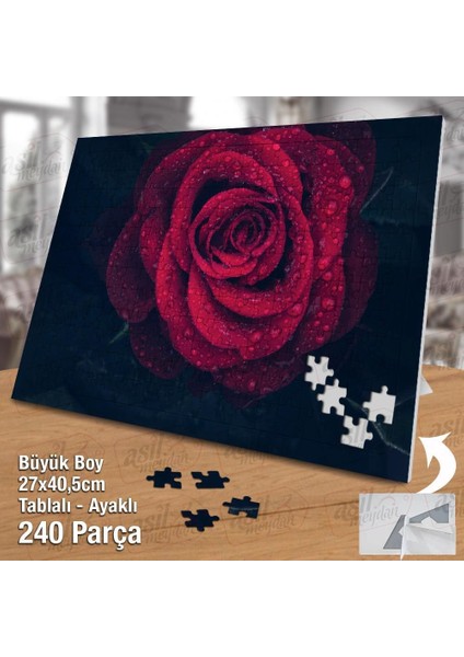 Asil Hobi Red Rose - Su Damları - Bitki - Peyzaj Yapboz -Ayak Destekli Çerçeveli 240 Parça Puzzle