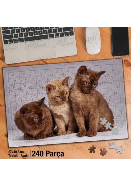 Asil Hobi Üç Kahverengi Yavru Kedi - Sevimli Hayvan Yapboz -Ayak Destekli Çerçeveli 240 Parça Puzzle