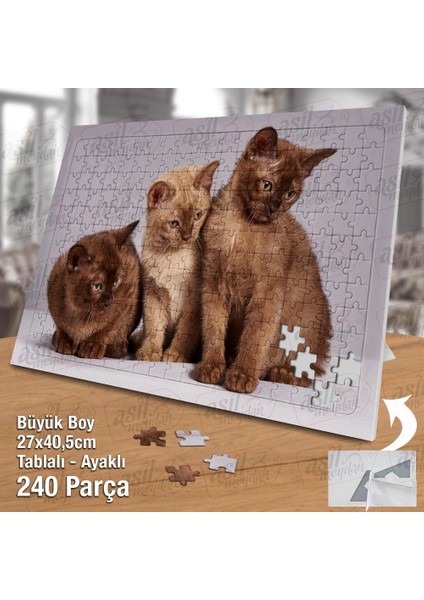 Asil Hobi Üç Kahverengi Yavru Kedi - Sevimli Hayvan Yapboz -Ayak Destekli Çerçeveli 240 Parça Puzzle fiyatları