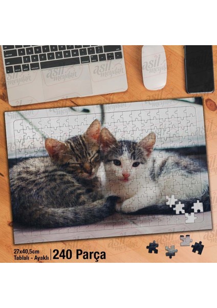 Asil Hobi Sevimli Iki Yavru Kedi - Hayvan Yapboz - Ayak Destekli Çerçeveli 240 Parça Puzzle