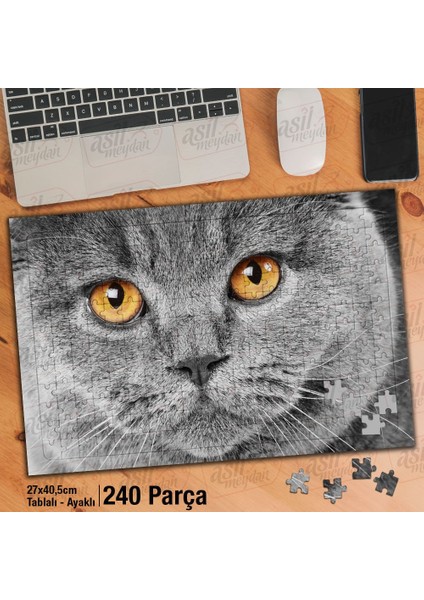 Asil Hobi Scottish Fold - Gri Tüylü Sevimli Kedi Yapboz-Ayak Destekli Çerçeveli 240 Parça Puzzle