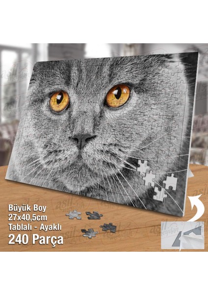 Asil Hobi Scottish Fold - Gri Tüylü Sevimli Kedi Yapboz-Ayak Destekli Çerçeveli 240 Parça Puzzle