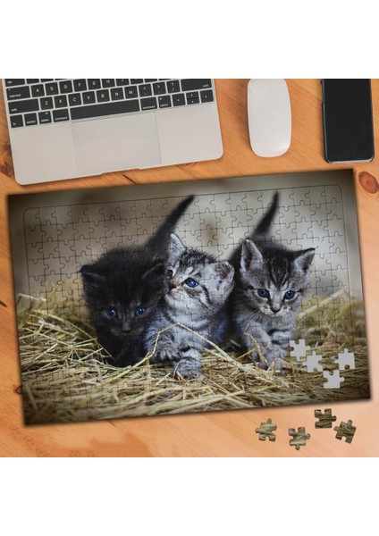 Sevimli Yavru Kediler 240 Parça Puzzle YAPBOZ-74549