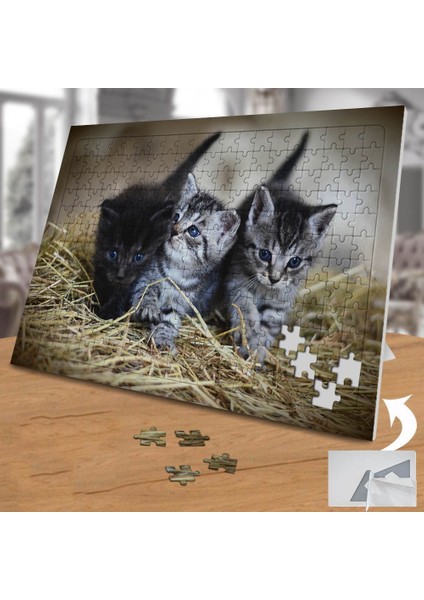Sevimli Yavru Kediler 240 Parça Puzzle YAPBOZ-74549