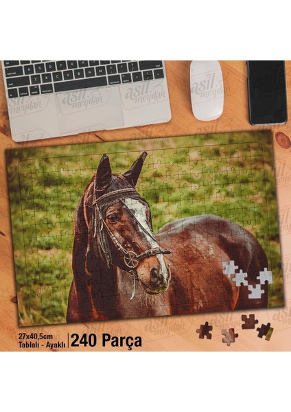 Asil Hobi Horse- Kahverengi At -Hayvan- Kır - Çimen Yapboz -Ayak Destekli Çerçeveli 240 Parça Puzzle