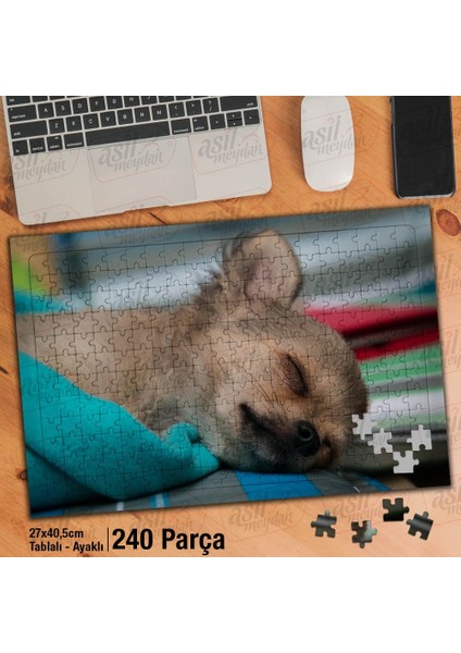 Asil Hobi Chihuahua - Uyuyan Sevimli Köpek -Hayvan Yapboz -Ayak Destekli Çerçeveli 240 Parça Puzzle