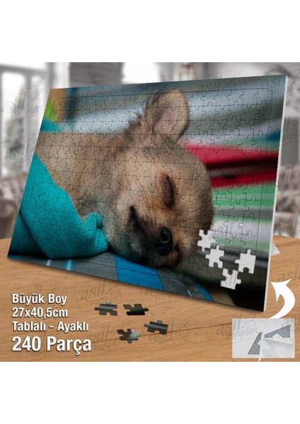 Asil Hobi Chihuahua - Uyuyan Sevimli Köpek -Hayvan Yapboz -Ayak Destekli Çerçeveli 240 Parça Puzzle