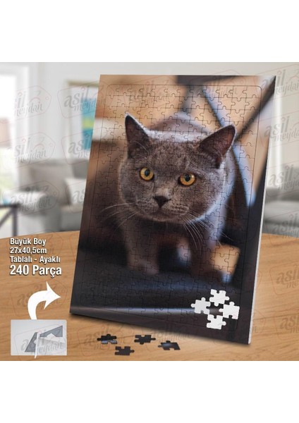Asil Hobi British Shorthair - Sevimli Kedi -Hayvan Yapboz - Ayak Destekli Çerçeveli 240 Parça Puzzle fiyatları