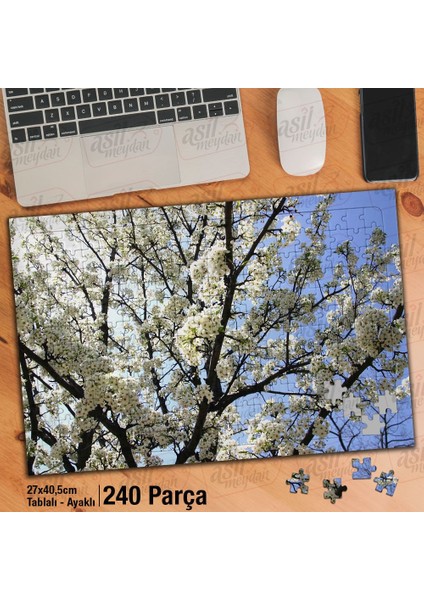 Asil Hobi Bahar - Çiçek Açmış Ağaç Dalları - Doğa Yapboz-Ayak Destekli Çerçeveli 240 Parça Puzzle