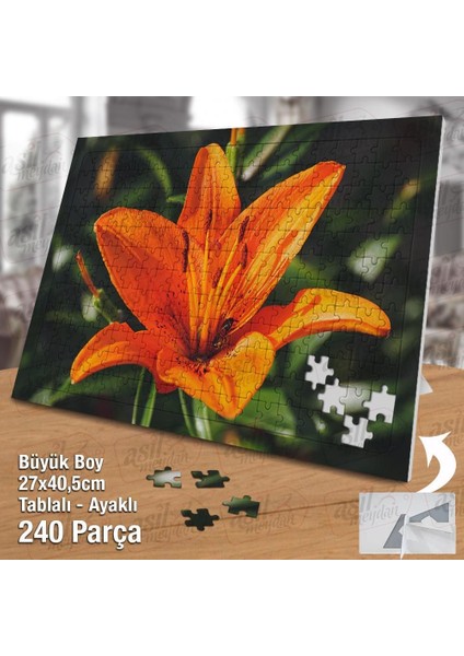 Asil Hobi Turuncu - Lilyum - Çiçek - Bitki - Peyzaj Yapboz -Ayak Destekli Çerçeveli 240 Parça Puzzle fiyatları