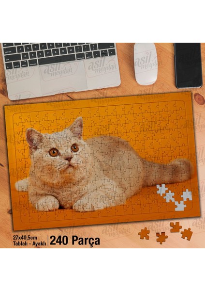 Asil Hobi Turuncu Zemin Üzerinde Sevimli Kedi-Hayvan Yapboz-Ayak Destekli Çerçeveli 240 Parça Puzzle