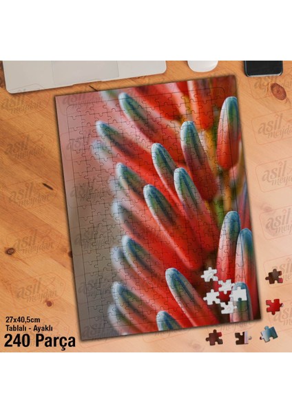 Asil Hobi Flower- Çiçek - Pembe - Bitki - Peyzaj Yapboz -Ayak Destekli Çerçeveli 240 Parça Puzzle
