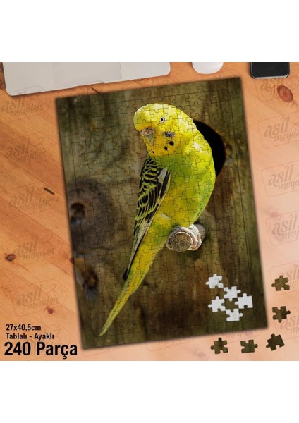 Asil Hobi Sarı - Yeşil Muhabbet Kuşu - Doğa -Hayvan Yapboz -Ayak Destekli Çerçeveli 240 Parça Puzzle