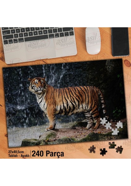 Asil Hobi Şelale -Kaplan -Doğa -Amazon -Vahşi Hayvan Yapboz-Ayak Destekli Çerçeveli 240 Parça Puzzle