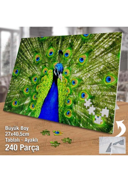 Asil Hobi Renkli Tüylü Tavus Kuşu - Hayvan - Doğa Yapboz -Ayak Destekli Çerçeveli 240 Parça Puzzle fiyatları