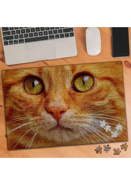 Yakın Çekim Sarı Tüylü Kedi 240 Parça Puzzle YAPBOZ-75471