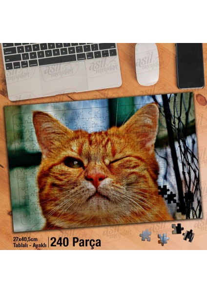 Asil Hobi Göz Kırpan Turuncu Kedi -Evcil Hayvanlar Yapboz - Ayak Destekli Çerçeveli 240 Parça Puzzle