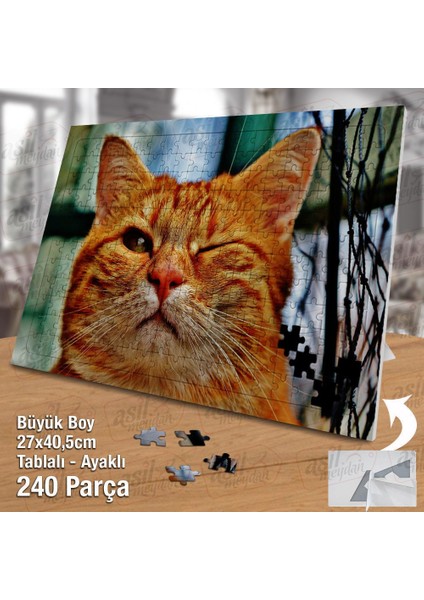 Asil Hobi Göz Kırpan Turuncu Kedi -Evcil Hayvanlar Yapboz - Ayak Destekli Çerçeveli 240 Parça Puzzle fiyatları