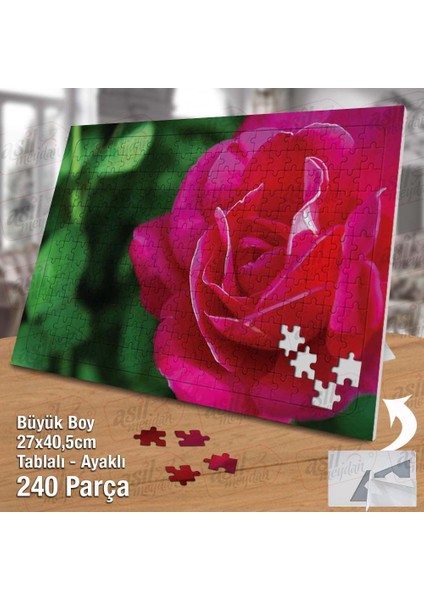 Asil Hobi Pembe Gül - Yeşil Yapraklar - Çiçek Yapboz- Ayak Destekli Çerçeveli 240 Parça Puzzle