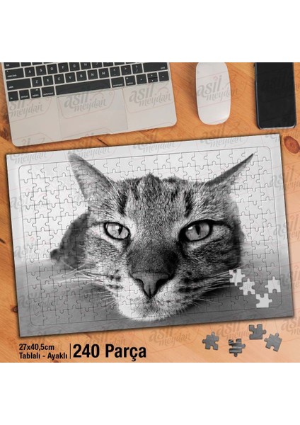 Asil Hobi Dikkatle Bakan Kedi - Sevimli Hayvanlar Yapboz -Ayak Destekli Çerçeveli 240 Parça Puzzle