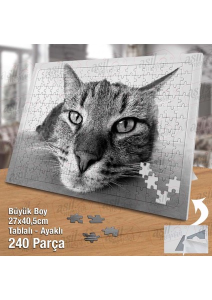 Asil Hobi Dikkatle Bakan Kedi - Sevimli Hayvanlar Yapboz -Ayak Destekli Çerçeveli 240 Parça Puzzle fiyatları