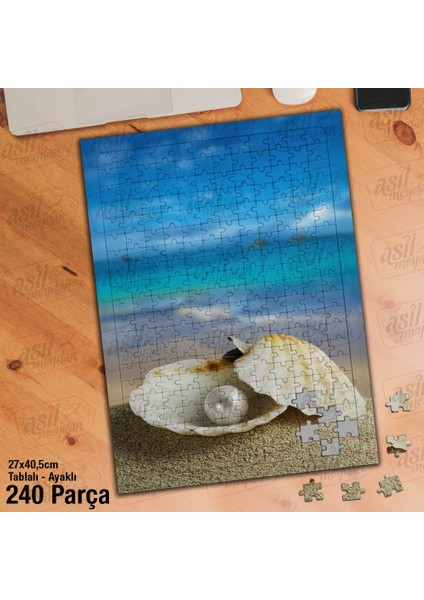 Asil Hobi Deniz Kabuğu - Inci - Kum - Yaz Yapboz - Ayak Destekli Çerçeveli 240 Parça Puzzle