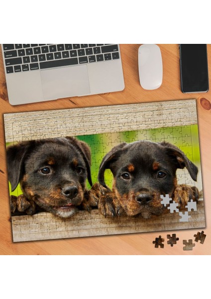 Labrador Retriever Siyah Yavru Köpekler 240 Parça Puzzle YAPBOZ-1785760