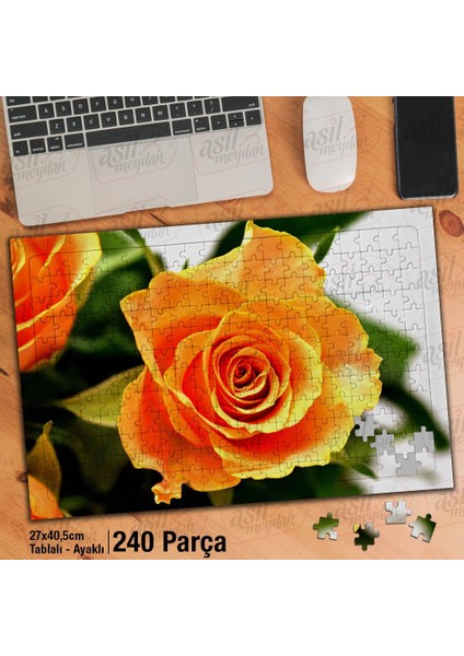 Asil Hobi Rose -Turuncu Güller - Peyzaj - Doğa Yapboz -Ayak Destekli Çerçeveli 240 Parça Puzzle