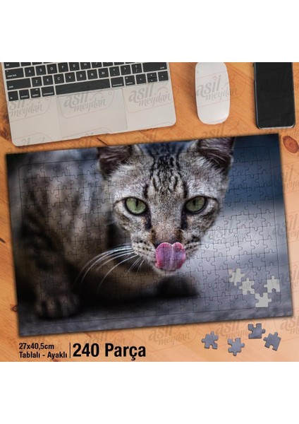 Asil Hobi Tekir - Sevimli Kedi - Kedi Dili -Hayvan Yapboz -Ayak Destekli Çerçeveli 240 Parça Puzzle